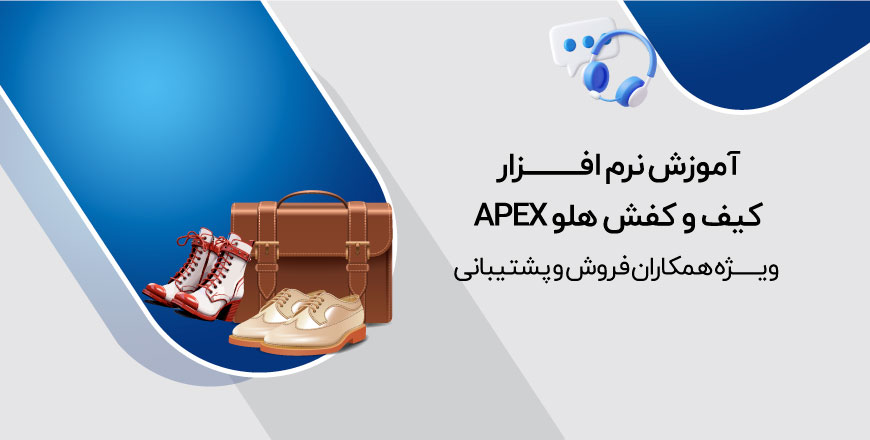 دوره آموزش نرم افزار کیف و کفش هلو APEX